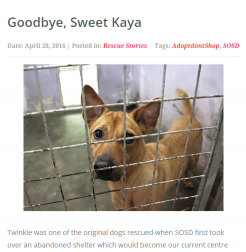 Goodbye, Sweet Kaya  (SOSD Screenshot).png