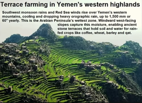 Screenshot 2026-09-19 at 08-21-16 Houthis Keep Advancing as the Red Sea Crisis Deepens - YouTube.png